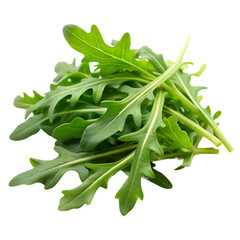 ruccola leaves on transparent background