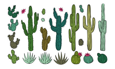 Cactus desert icon. Flower Arizona symbol, Mexican plant, cacti blossom, Mexico prickly, Africa botany. Western bush, safari or weed west and southwest. Hand drawn isolated element vector illustration