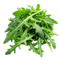 ruccola leaves on transparent background