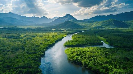 Aerial view of a tropical river winding through a lush green forest. Tropical paradise: aerial photo of a pristine river and mountain range.