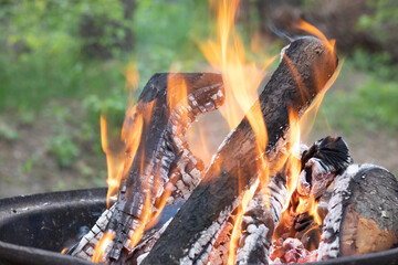 Round barbecue with burning firewood and fire in the forest