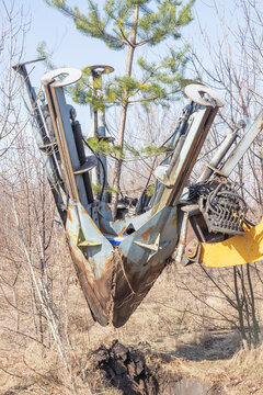 Tree transplanter heavy machine shovel with pine tree. Planting of tree using tree spade - specialized machine for transplanting and transport trees.