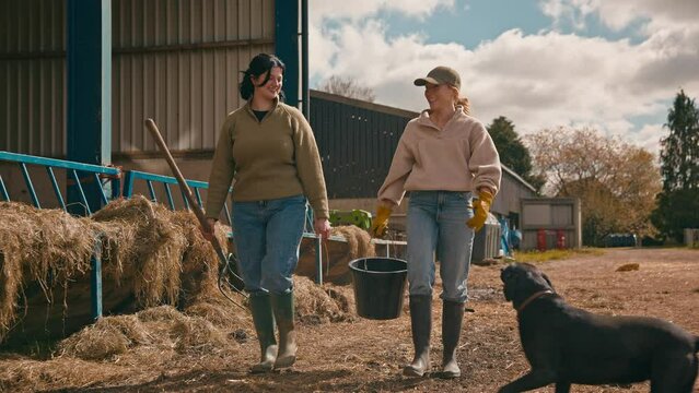 Two female farm workers with dog walking across yard past cattle barn at feeding time carrying bucket and pitchfork - shot in slow motion