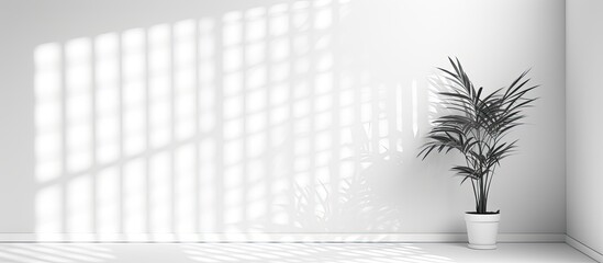 A black and white summer background for photo overlay or mockup featuring a falling shadow of a window opening on a white wall providing copy space image