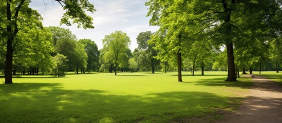 Outdoor photo of a beautiful green park in summer with plenty of available copy space image