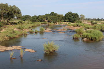Afrikanischer Busch - Krügerpark - Sabie River / African Bush - Kruger Park - Sabie River /