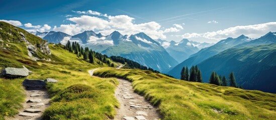 Vertical image of alps and path leading in the middle of the picture. Copy space image. Place for adding text and design