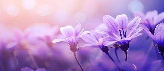 Beautiful blooms of soft purple flowers with a copy space image are in full blossom - Powered by Adobe