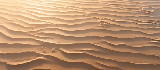 Sunset light casts shadows on the sandy beach creating a textured surface ideal for a background or wallpaper with copy space image