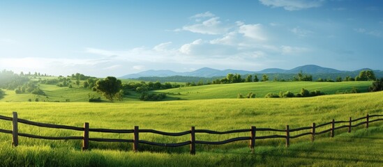 A rural landscape featuring lush green grass and a fence surrounded by abundant greenery with a prominent copy space image - Powered by Adobe