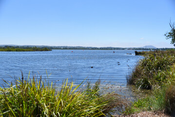 The river bank of Lake Wendouree, the man-made recreational lake Located in central Ballarat is Victoria's third largest city, Australia.