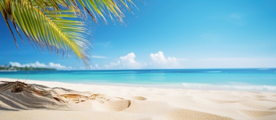 In summer capture a crisp image of a serene tropical beach with white sand bathed in sunlight against a backdrop of a blue sky and bokeh The image offers ample copy space