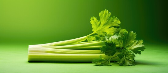 Celery Cut Sanitized Healthy Vegetables. Copy space image. Place for adding text and design