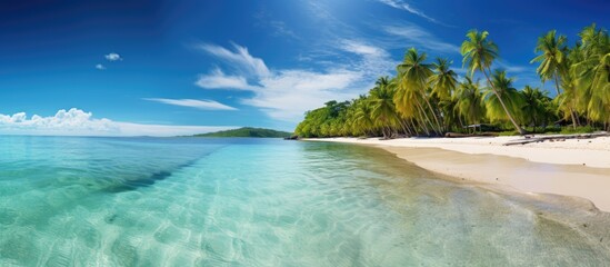 Obraz premium An idyllic tropical island boasting pristine white sandy beaches and crystal clear turquoise waters ideal for relaxation with a copy space image