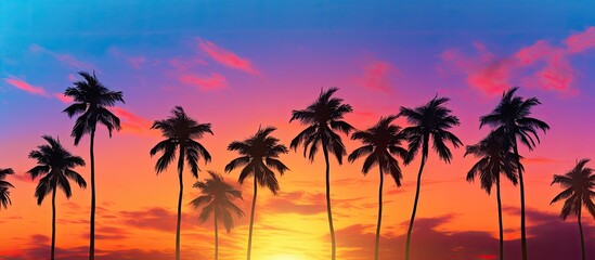 Palm trees silhouette against a sunset sky with a colorful background perfect for a copy space image