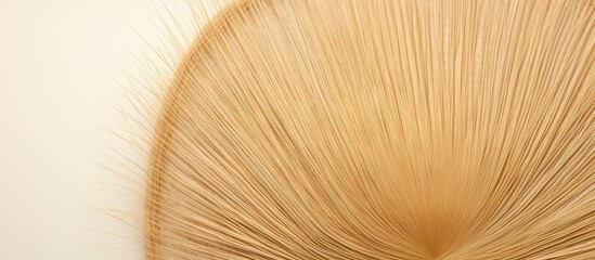 A close up image showing a wickerwork saucer made from dry sedge on a white background with a texture resembling handcrafted papyrus sedge The image includes copy space