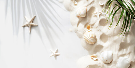白い砂と貝殻の心地よい壁紙