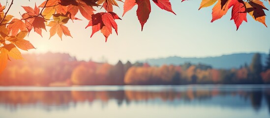 Indian summer foliage with a picturesque autumn landscape filled with vibrant colorful leaves providing a stunning copy space image opportunity