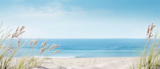 Summer holiday concept with serene blue sea sandy beach dunes reeds and dry grass evoking a peaceful seaside scene with a copy space image