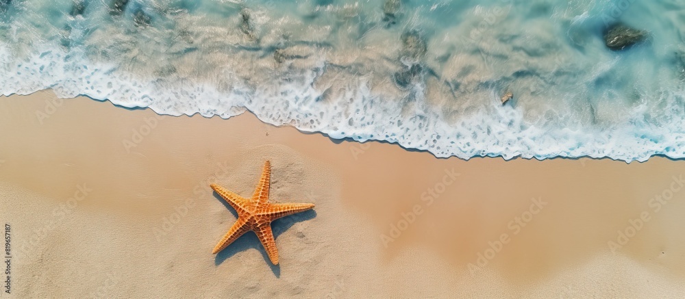 Poster A top down view of a starfish resting on the sandy shore of a beach during the summer with ample copy space in the image