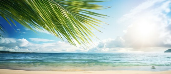 Blurry summer scene of a tropical beach with palm leaves sun rays sea sky and clouds Ideal for a summer vacation concept with room for text or images. Copy space image