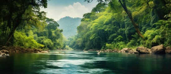 Beautiful landscape of a river in the jungle with a copy space image
