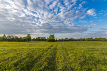 Evening landscape. Blue sky with clouds above the horizon. early spring in the countryside, soft sunlight on the grass.