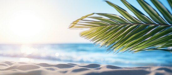 Tropical beach setting with a palm leaf against a blurred background of sunlight and waves for a vintage style image representing summer vacation and business travel featuring a copy space image