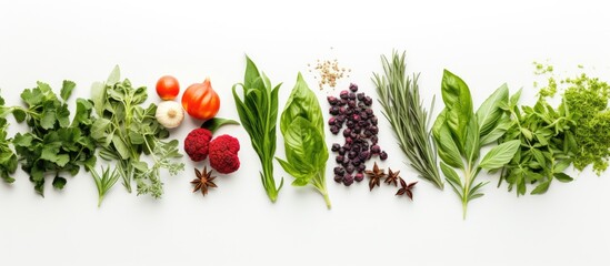 Naklejka premium A top down view of aromatic herbs and spices like sage thyme mint basil and green chili from the garden on a white background with copy space image