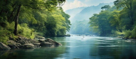 Fototapeta premium A serene river flowing through a dense forest with a vast expanse of copy space image