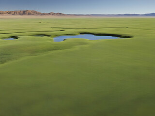 Naklejka premium golf course