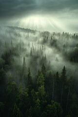 landscape of austria, misty forest with rays of light breaking through the clouds, fog, clouds, aerial shot, portrait format, photorealistic // ai-generated 