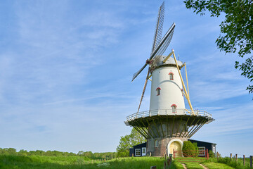 Windmill ( de koe ) before a blue morning sky. Technical building from dutch culture in nature....