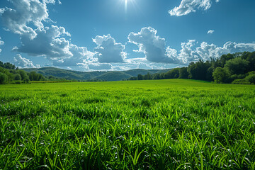 landscape with beautiful green grass field with blue sky and clouds in the background, grassland, meadow, sunny day, spring or summer season, photorealistic // ai-generated 