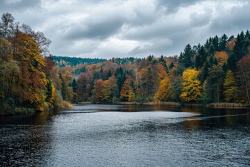 Fototapeta premium Green and brown trees beside a river under a cloudy sky during the daytime, capturing the tranquility of nature. 