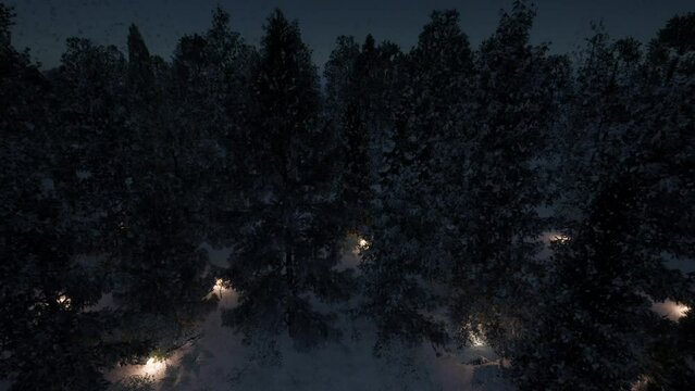 003_Stock_Forest_Snow_night_LOOP