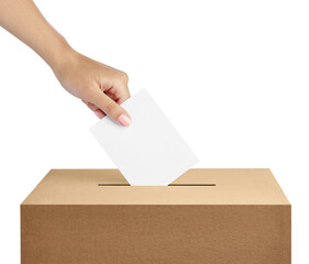 ballot box casting vote election referendum politics elect woman female democracy hand voter...