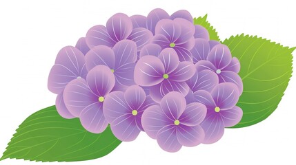   A bouquet of vibrant purple flowers surrounded by lush green foliage against a pristine white backdrop, featuring a solitary green leaf accentuating the floral arrangement