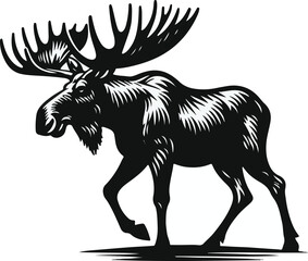 Moose black and white vector illustration Free Download