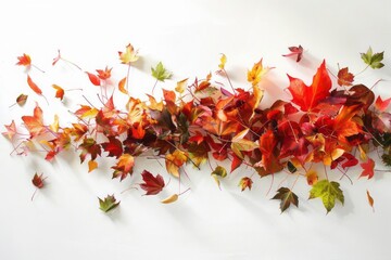 An artistic arrangement of fall foliage with leaves overlapping and creating a sense of movement on a white background