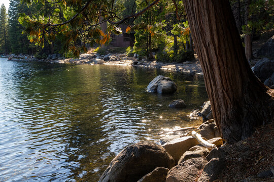 the beautiful rural nature at the pinecrest lake in the Stanislaus national forest in california
