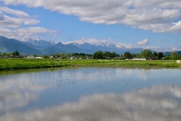 安曇野から見た水田と北アルプス・北方面（長野県・安曇野市）