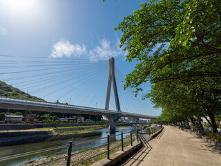 新緑の桜並木が美しい猪名川沿いの遊歩道と新猪名川大橋