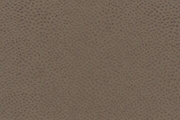 embroidered luxury fabric texture background close up, detailed light neutral color woven linen backdrop, furniture cloth textile material, modern cotton clothing weave pattern