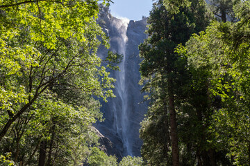 the famous bridalveil fall at Yosemite national park at a sunny summer day. View from the valley up to the cliff