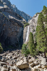 view through the trees to the famous lower Yosemite fall from below at the Yosemite national park