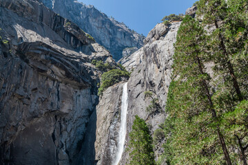 view through the trees to the famous lower Yosemite fall from below at the Yosemite national park