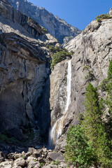 view through the trees to the famous lower Yosemite fall from below at the Yosemite national park