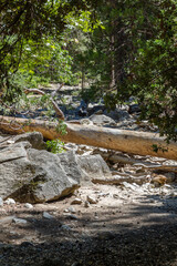 a fallen tree lays over the Yosemite Fall River at the national park, california