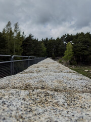 stone wall on the way to the forest